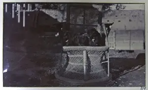 Photograph from a fascinating album which reveals new details on a little-known campaign in which a British military force brushed aside Tibetan defences to capture Lhasa, in 1904