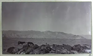 Photograph from a fascinating album which reveals new details on a little-known campaign in which a British military force brushed aside Tibetan defences to capture Lhasa, in 1904