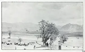 Photograph from a fascinating album which reveals new details on a little-known campaign in which a British military force brushed aside Tibetan defences to capture Lhasa, in 1904