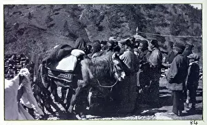 Photograph from a fascinating album which reveals new details on a little-known campaign in which a British military force brushed aside Tibetan defences to capture Lhasa, in 1904