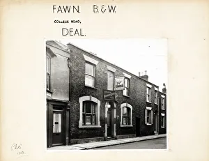 Fawn Prints: Photograph of Fawn PH, Deal, Kent