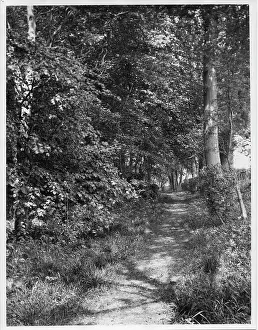 Donated Prints: Photograph of Down House, home of Charles Darwin