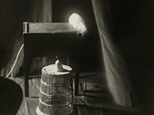 Abilities Gallery: Photograph of the infra-red cage at the National Laborator