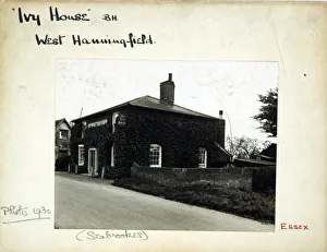 Photograph of Ivy House PH, West Hanningfield, Essex