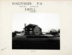 Kingfisher Prints: Photograph of Kingfisher PH, Ewell, Surrey