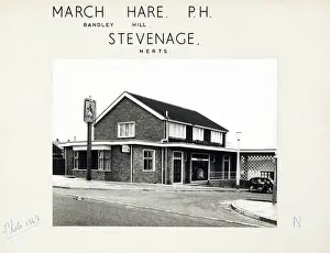 Hare Prints: Photograph of March Hare PH, Stevenage, Hertfordshire