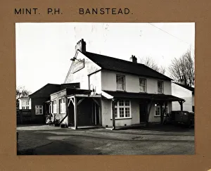 Mint Collection: Photograph of Mint PH, Banstead, Surrey