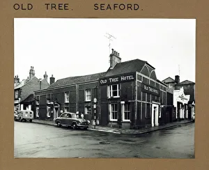 Photograph of Old Tree Hotel, Seaford, Sussex