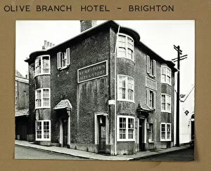 Olive Collection: Photograph of Olive Branch Hotel, Brighton, Sussex