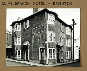Photograph of Olive Branch Hotel, Brighton, Sussex