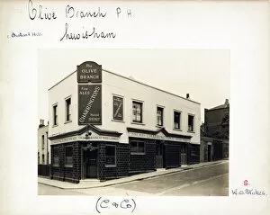 Olive Collection: Photograph of Olive Branch PH, Lewisham, London