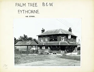 Photograph of Palm Tree PH, Eythorne, Kent