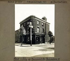 Lily Gallery: Photograph of Rose & Lily PH, Bermondsey, London