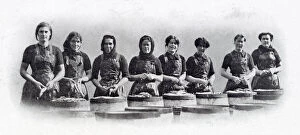 Aprons Gallery: Photograph showing a group of Scottish women standing over the barrels that are being