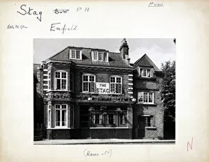 Stag Collection: Photograph of Stag PH, Enfield, Greater London