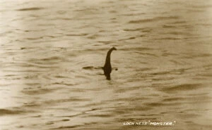 Fake Collection: Photographic evidence of the Loch Ness Monster