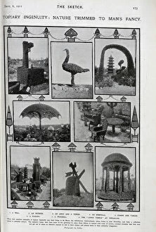 Ostrich Collection: Photographs of elaborate topiary