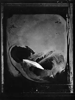 Photography of a Smell by F Breitenbach