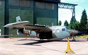Piaggio P-166DL-3 MM25155 - 303-22