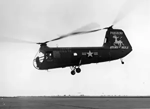 Mule Prints: Piasecki H-25A Army Mule 116572