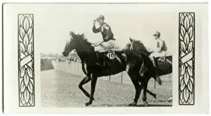 Jockeys Gallery: Piastoon, Australian race horse