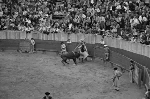 Bull Fight Gallery: A picador, bullfight, Matomoros, Mexico