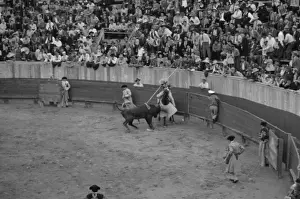 Bull Fight Prints: A picador, bullfight, Matomoros, Mexico