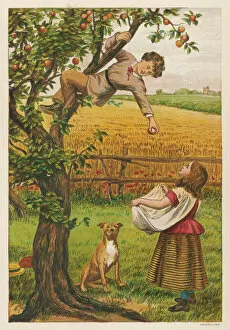 1878 Collection: Picking Apples 1878