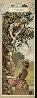 Boy Picking Apples