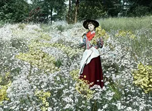 Daisies Prints: Picking Daisies Victorian period