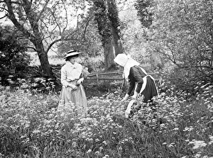 Picking daisies, Victorian period