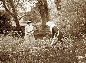 Picking daisies, Victorian period