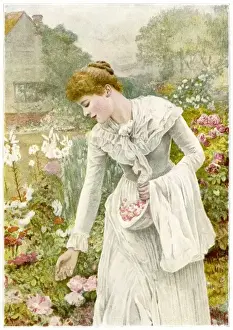 Picks Prints: Picking Flowers 1894