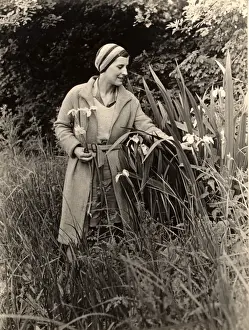 Irises Prints: Picking flowers in the 1930s