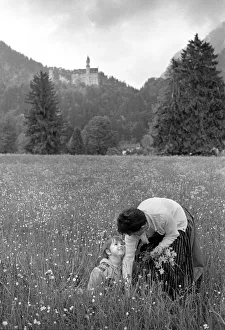 Picking flowers below Ludwigs Castle, Fussen, Bavaria Picking flowers below Ludwigs Castle, Fussen, Bavaria