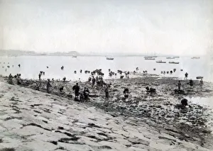 Picking shellfish along the shore, Japan, c. 1880 s