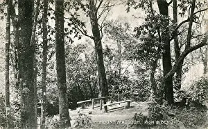 Bend Prints: Picnic Bend - Mount Macedon, Macedon, Victoria