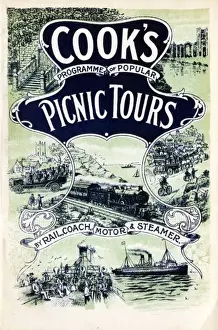 Picnic Tours