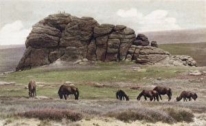 Images Dated 17th March 2011: Picture No. 10094981