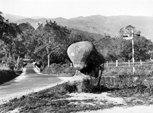 Images Dated 15th March 2011: Picture No. 10180461