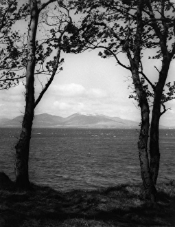 Images Dated 15th March 2011: Picture No. 10180489