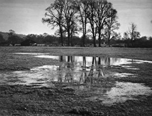 Images Dated 15th March 2011: Picture No. 10180501