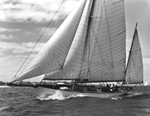Images Dated 2011 April: 11 Apr 2011 Collection