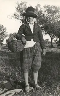 Picture No. 10419461