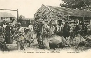 Picture No. 10419464