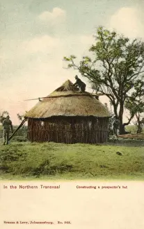 Picture No. 10419467