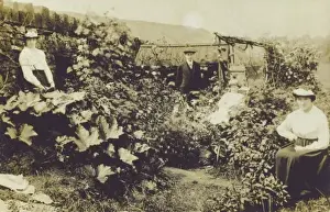 Picture No. 10486981