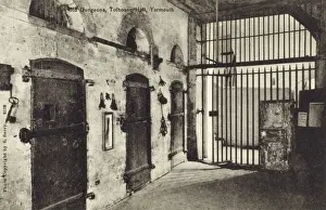 Picture No. 10486982