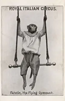 Picture No. 10487100