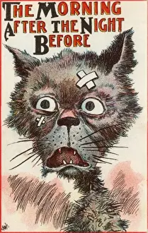Picture No. 10487104